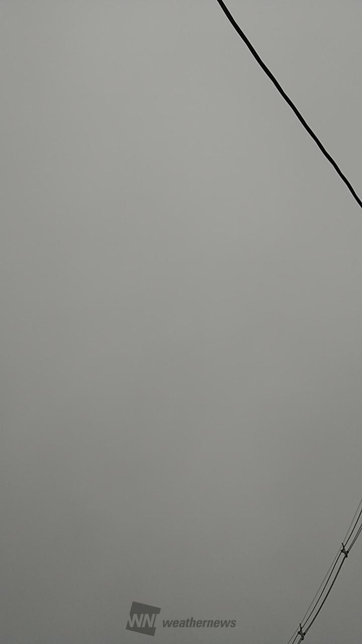曇り空です☁️今...