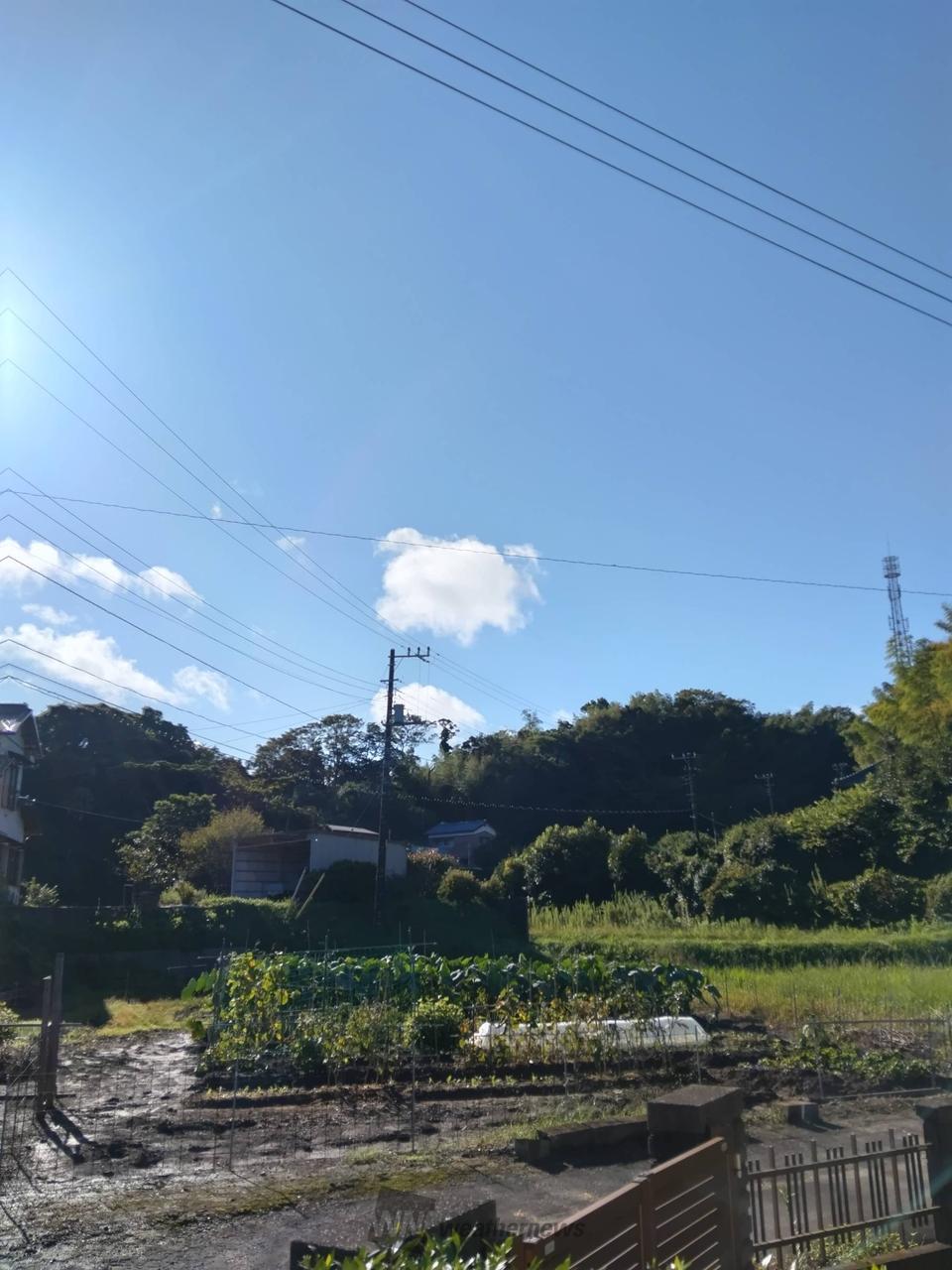 すうう様(画像ご確認ください) おはようございます 久しぶりに朝から青空 | 千葉県富津市 | 千葉県