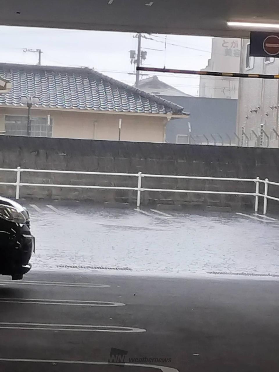 こんばんは。 激しく降っています☔ 17 | 岡山県岡山市中区 | ちい