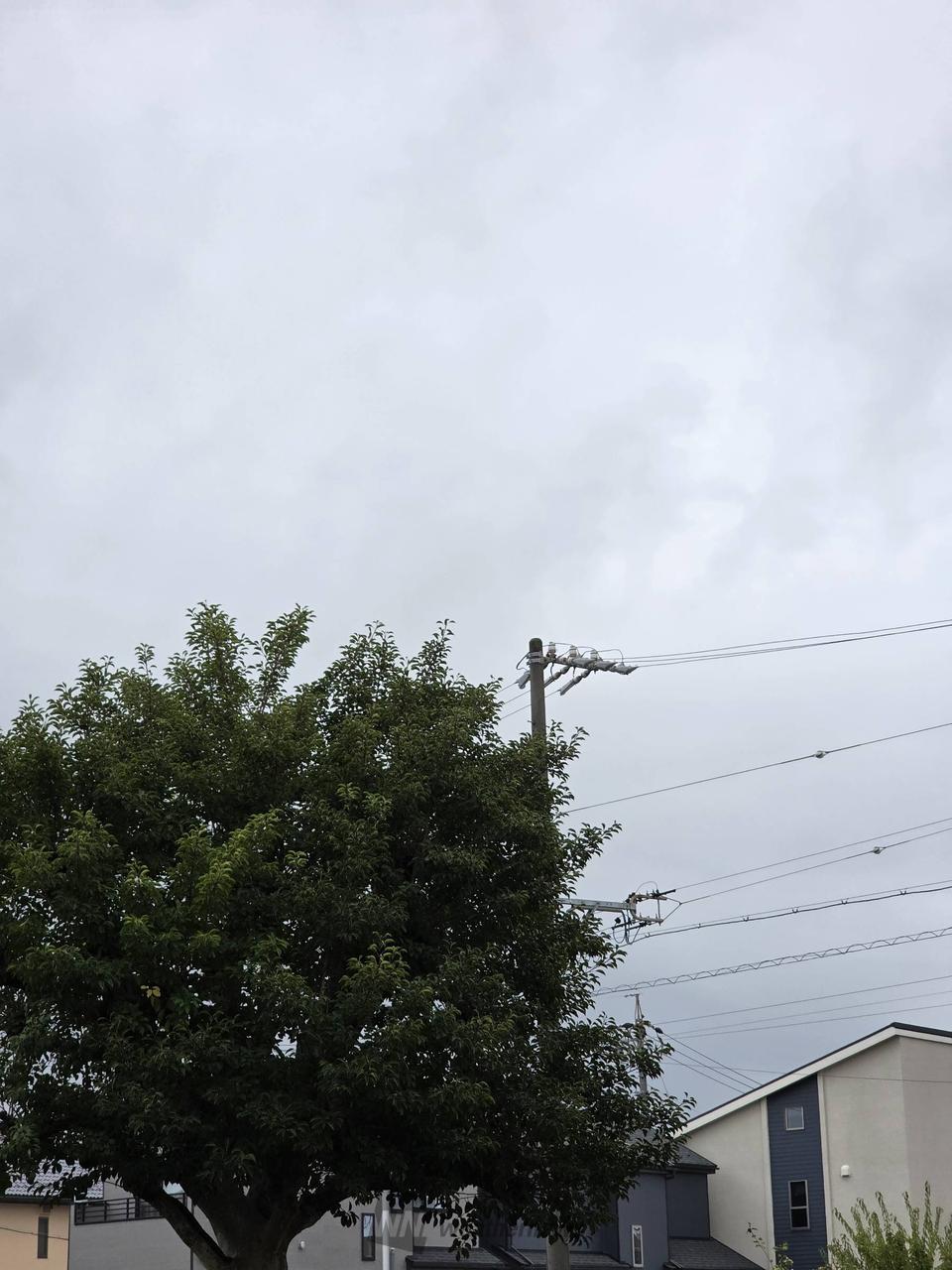 霧雨が少し降っています 空はどんより曇り | 愛知県江南市 | ちびっこ
