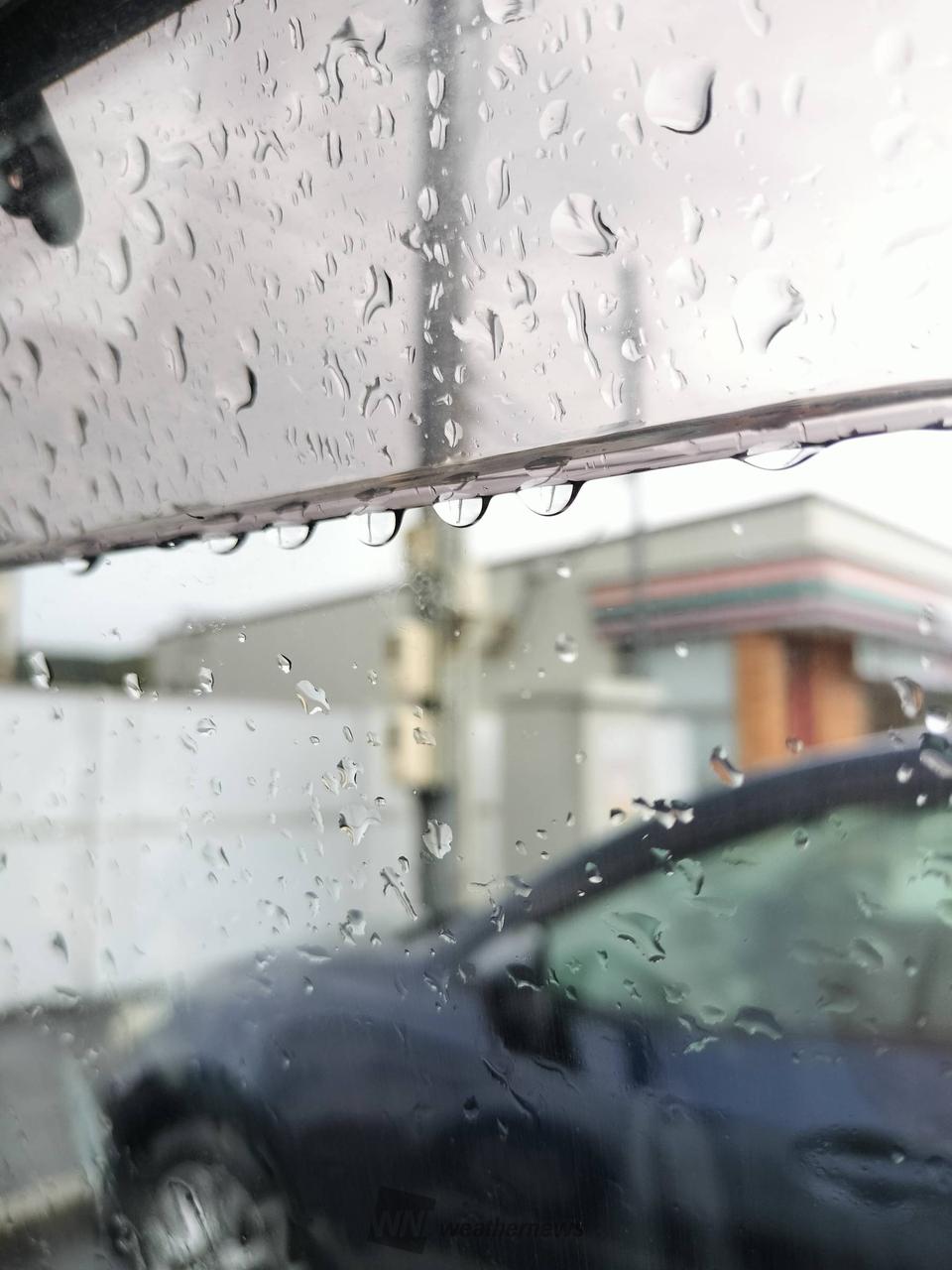 こんにちは。 強くなったり弱まったりの雨 | 岡山県岡山市中区 | ちい