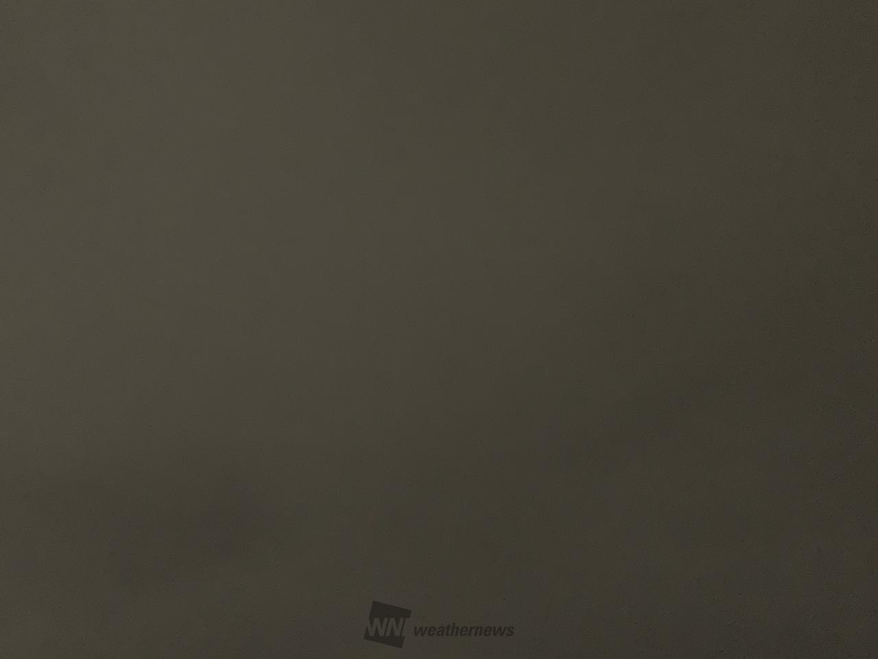 弱い雨☂️が降る続...