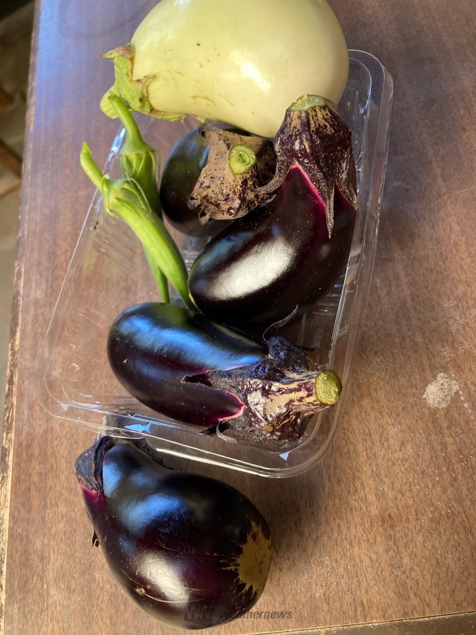 茄子 ほぼ毎日、このくらいの茄子🍆が、取れま | 大阪府河内長野市 | れい