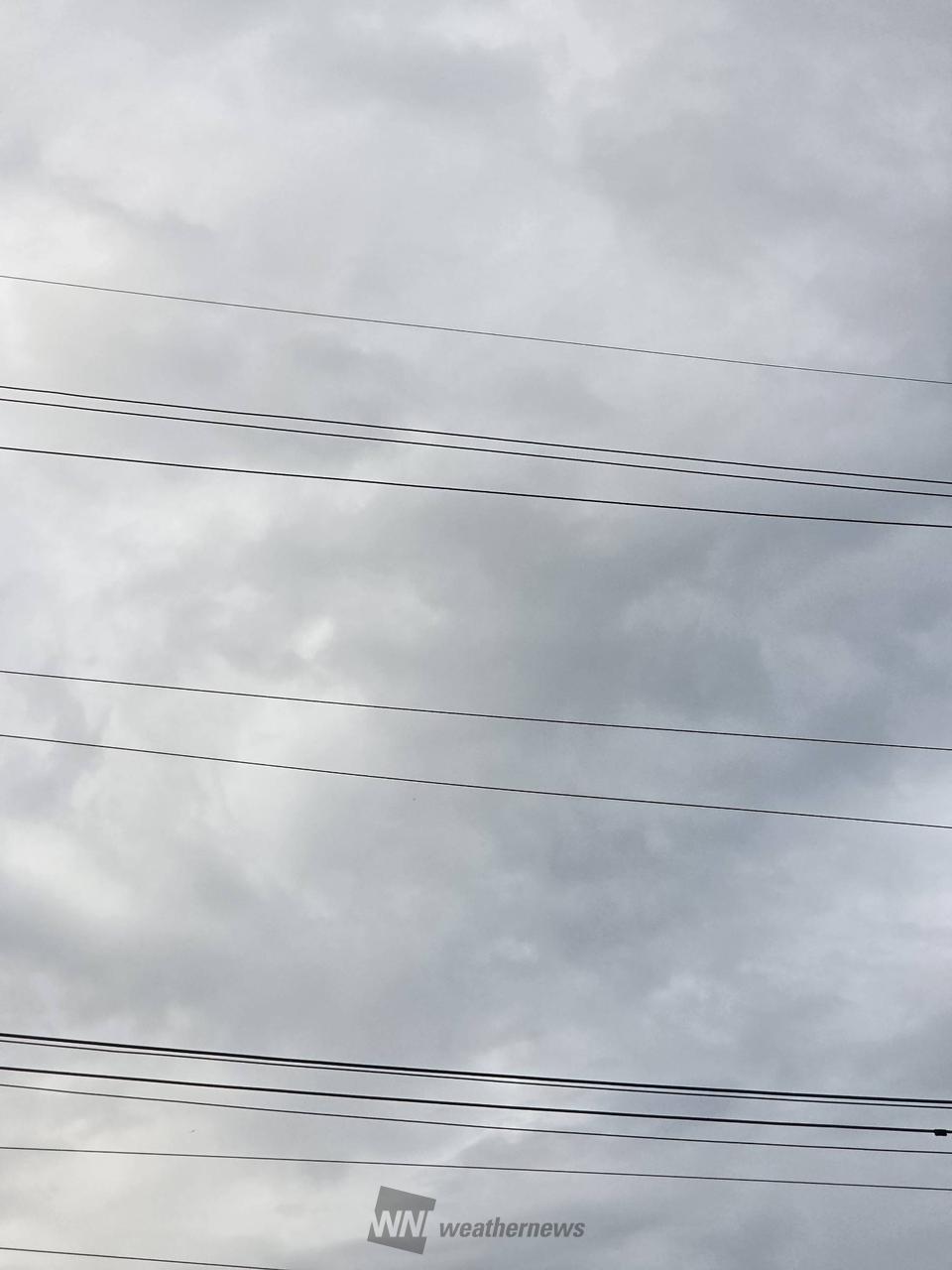 雨上がりで涼しい風が吹いている。曇り空。 | 岐阜県羽島郡笠松町