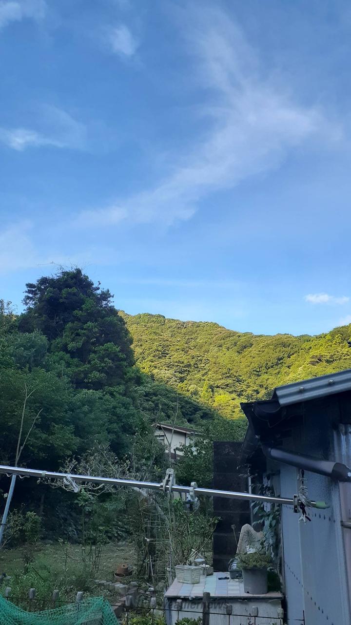 山頂に運ぶ太陽 まだ、太陽が山に隠れているが、山頂付近は | 大分県津久見市 | umi