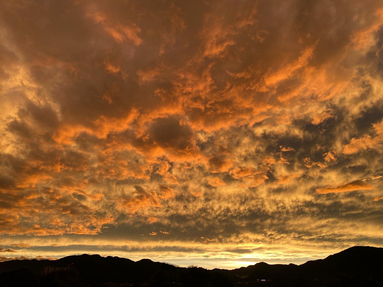 色の濃い夕焼け 注目の空の写真 ウェザーニュース