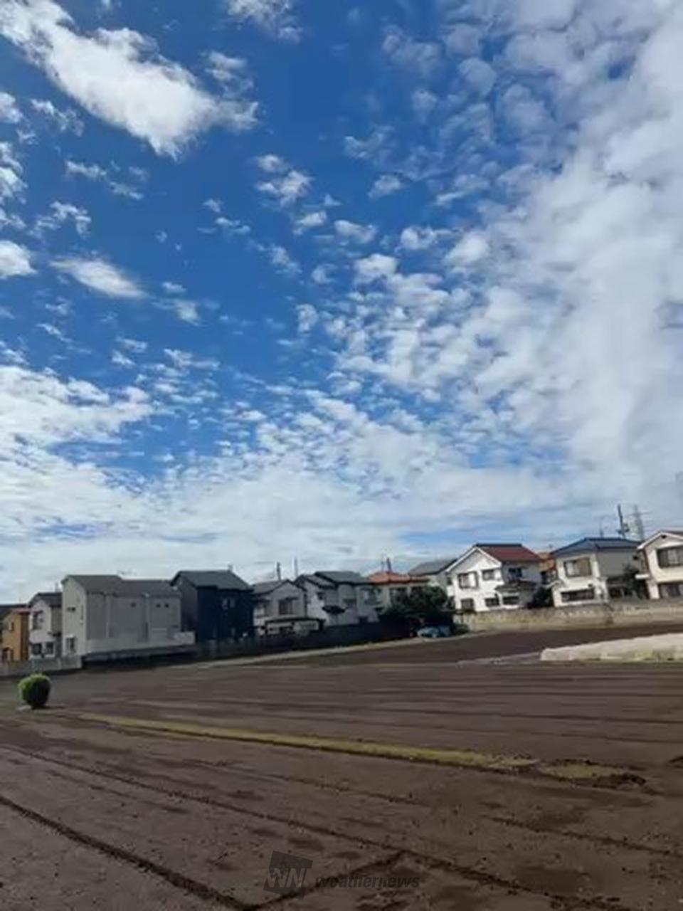台風の後だと雲がない天気の日もあるが、と | 埼玉県新座市 | 埼玉県
