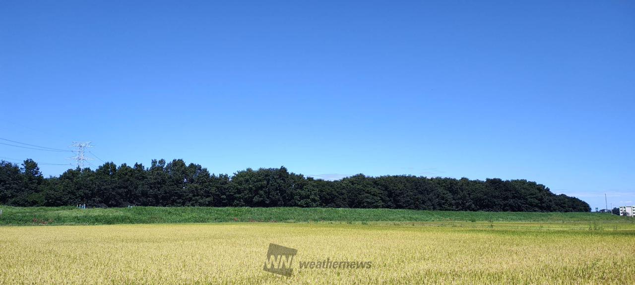 台風一過の青空☀️ 注目の空の写真 ウェザーニュース