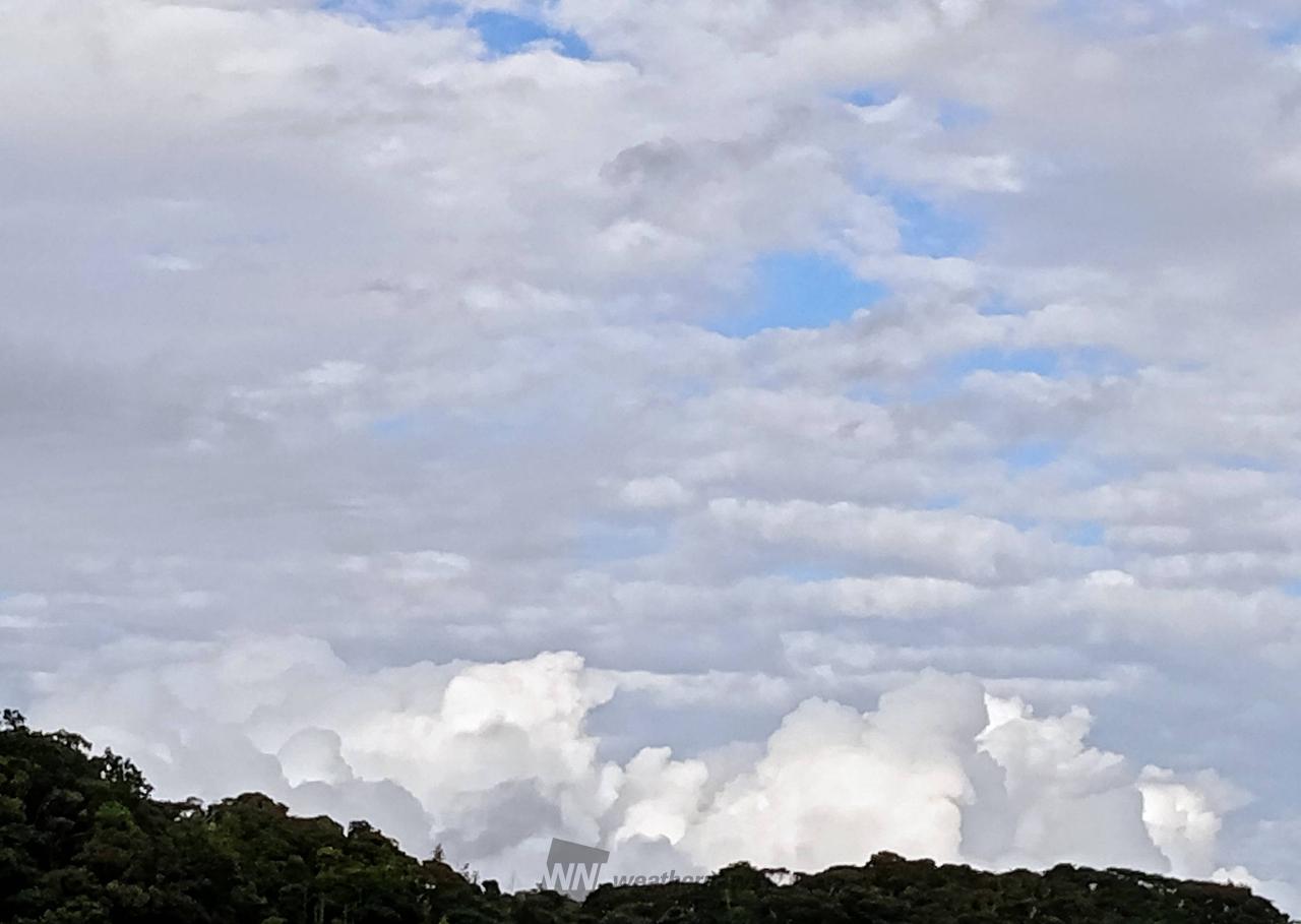 東の空 低いところに入道雲ができてます | 千葉県南房総市 | コスモ