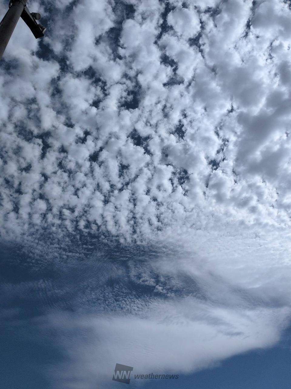 ひつじ雲？イワシ雲？青空に広がっています | 山形県寒河江市 | アギト