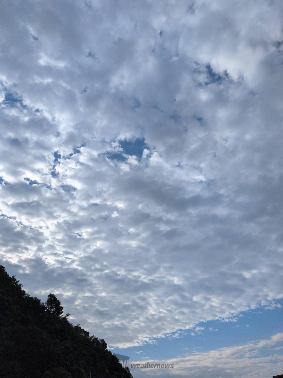 湿気もなくていい朝です(*´ ³ `)ﾉ | 広島県呉市 | ♀6歳 つくねちゃん