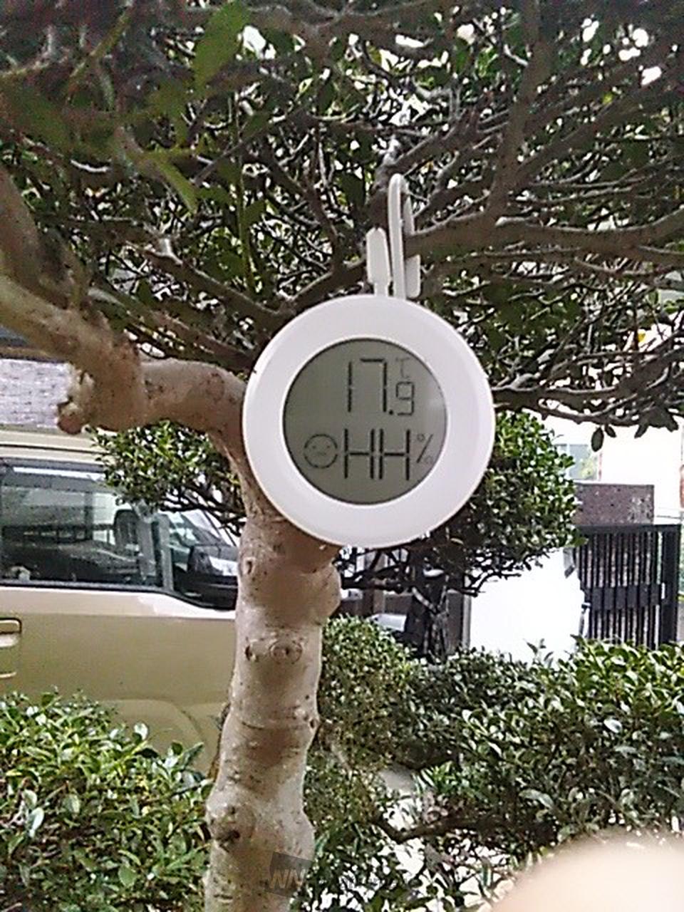 ウェザー ニュース 八王子(02)