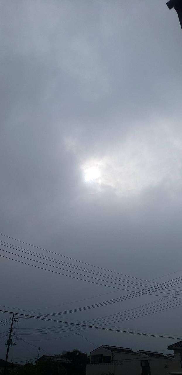 一瞬だけど☀️が見えました‼️ 今は☁️ | 千葉県茂原市 | -夜桜