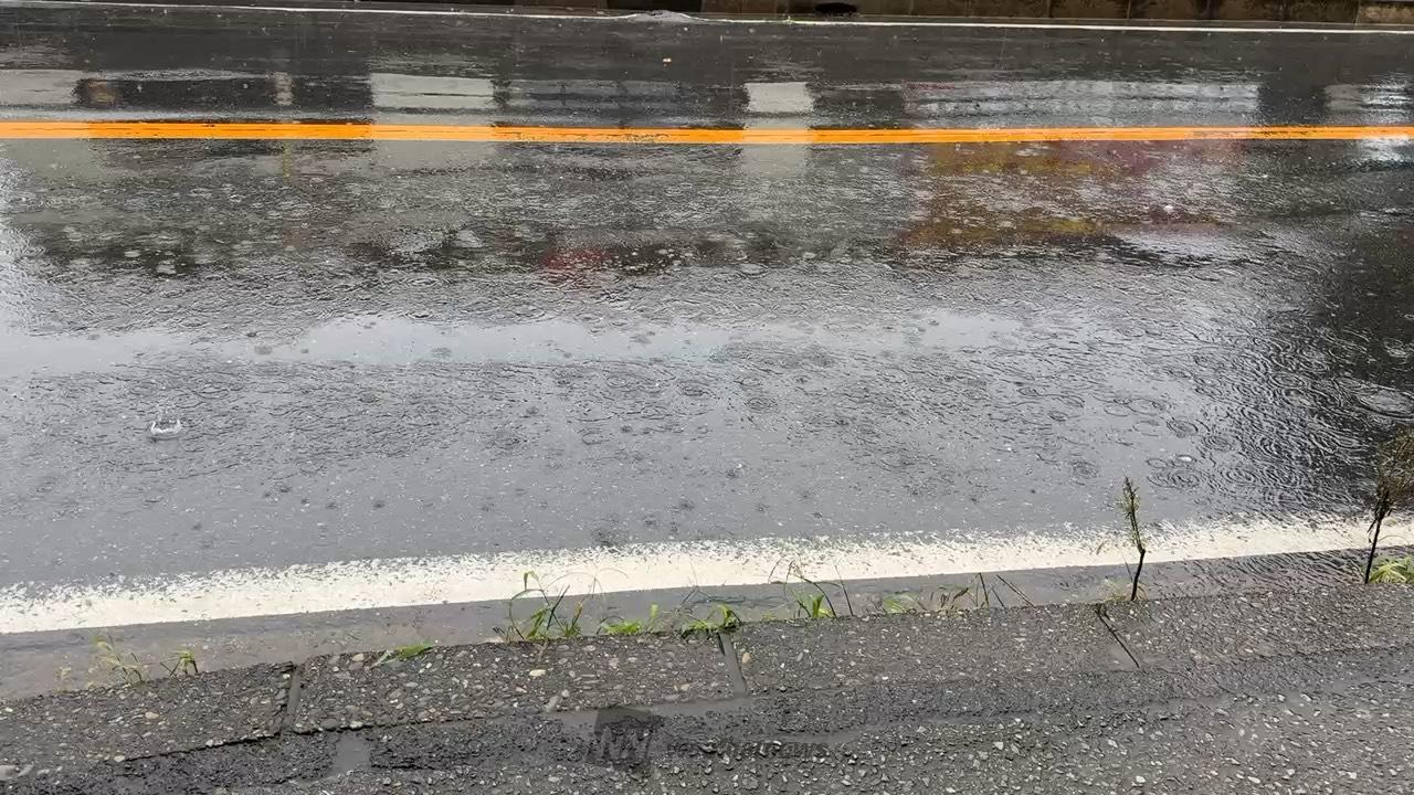 朝がかなりの雨が降り続いています。 毎 | 千葉県船橋市 | みみえ