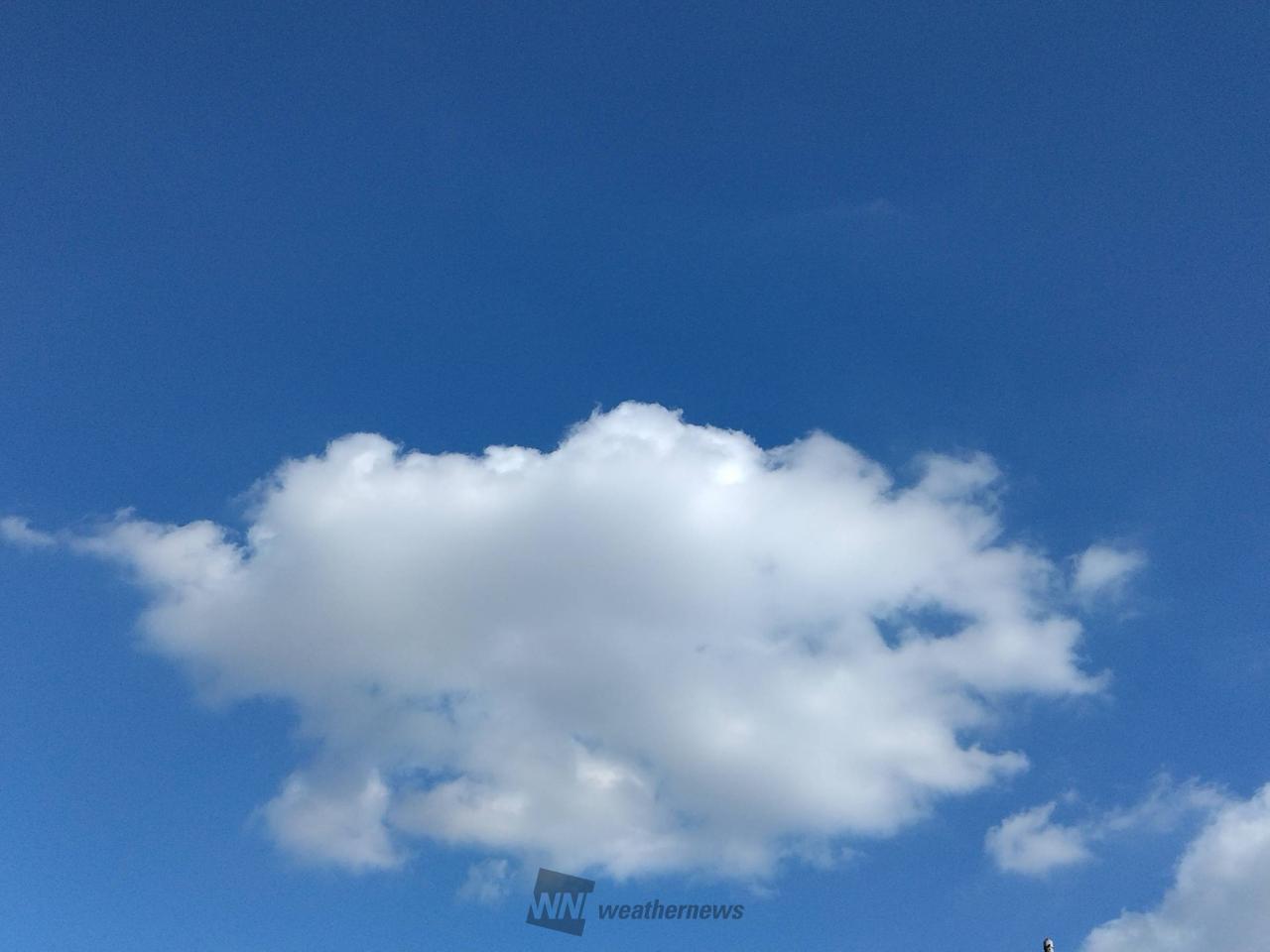 なんだか面白い雲☁🎶 青い空には白 | 東京都江戸川区 | すけちゃんぬ