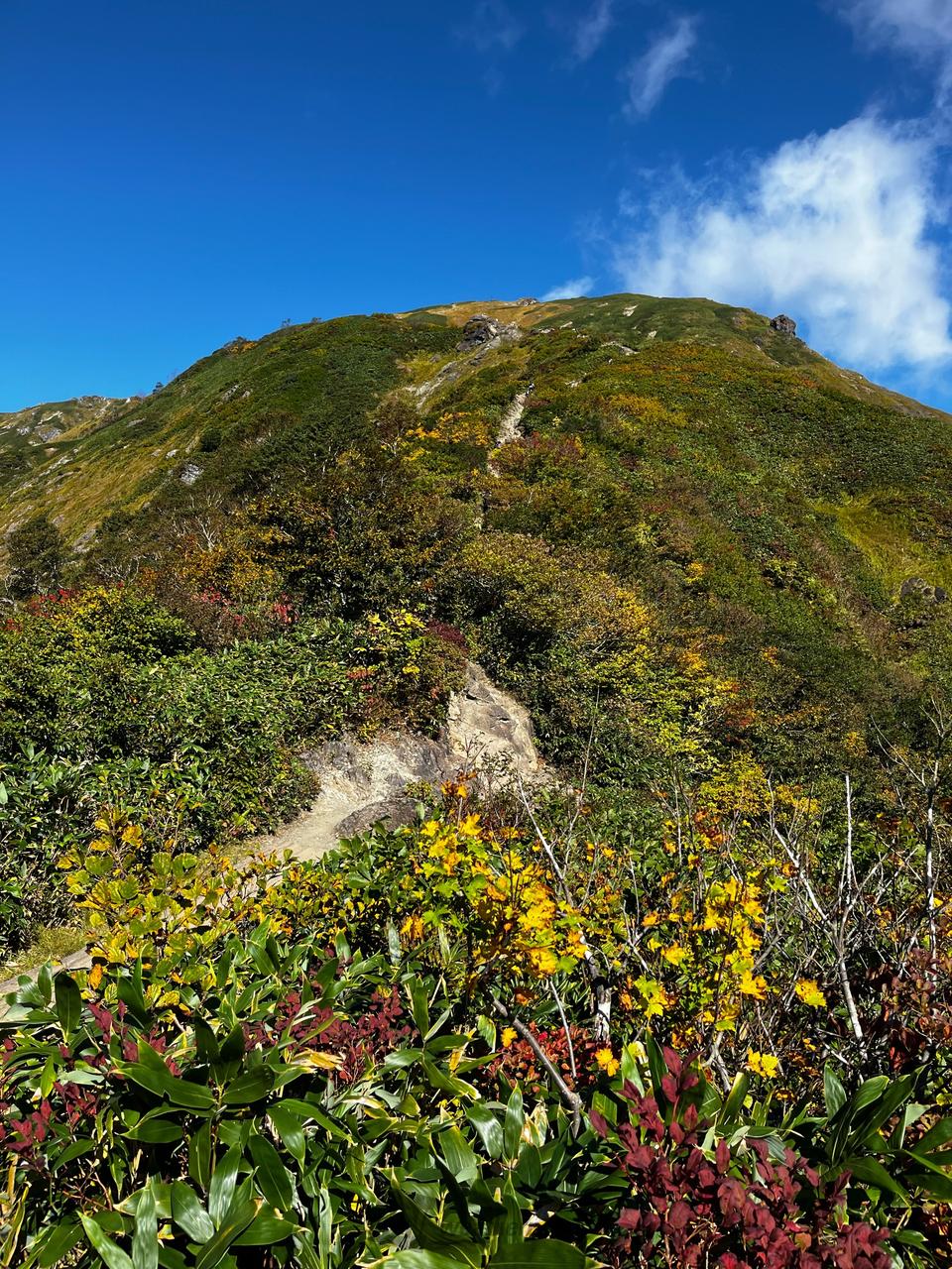 谷川岳 の 天気 予報