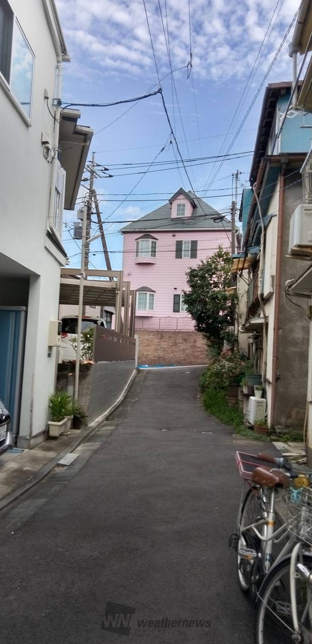 ウェザー ニュース 大田 区