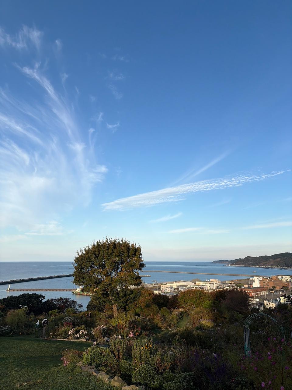 おだやかな朝です。ルピナスの丘、空は明る | 北海道浦河郡浦河町
