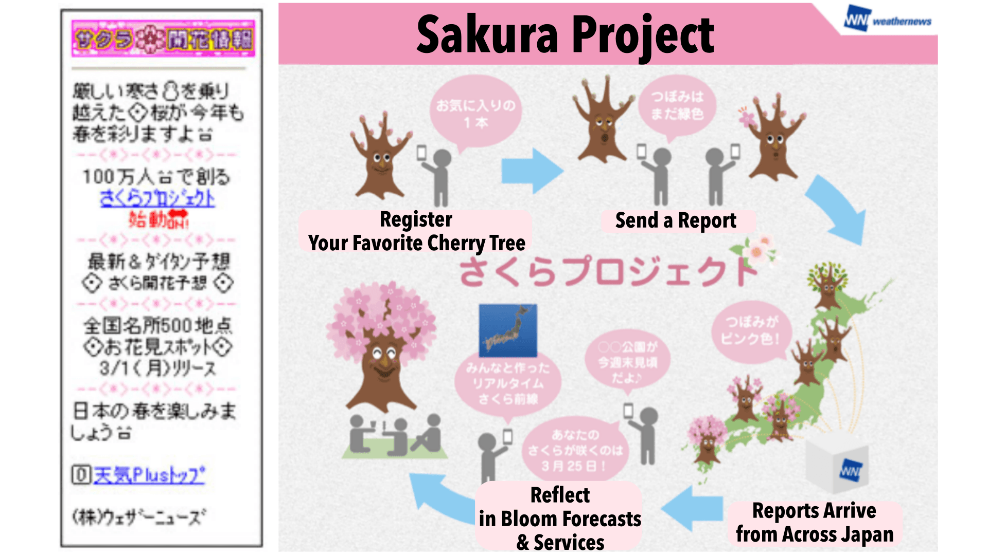 “Sakura Project,” a nationwide cherry blossom map created from supporter submissions