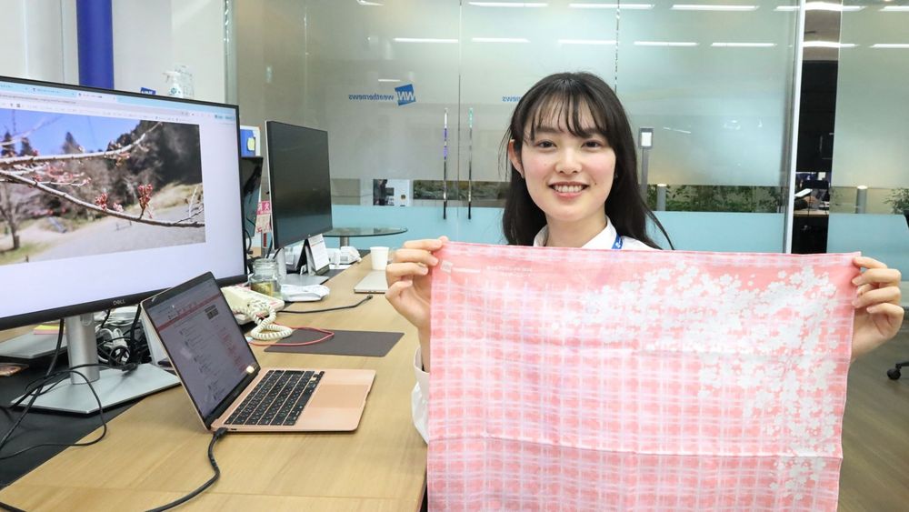 Japan's Most Comprehensive Cherry Blossom Forecast:
How Our Proprietary Bloom Prediction Model Leverages User-Generated Photos and High-Precision Data Across 1,400 Locations
