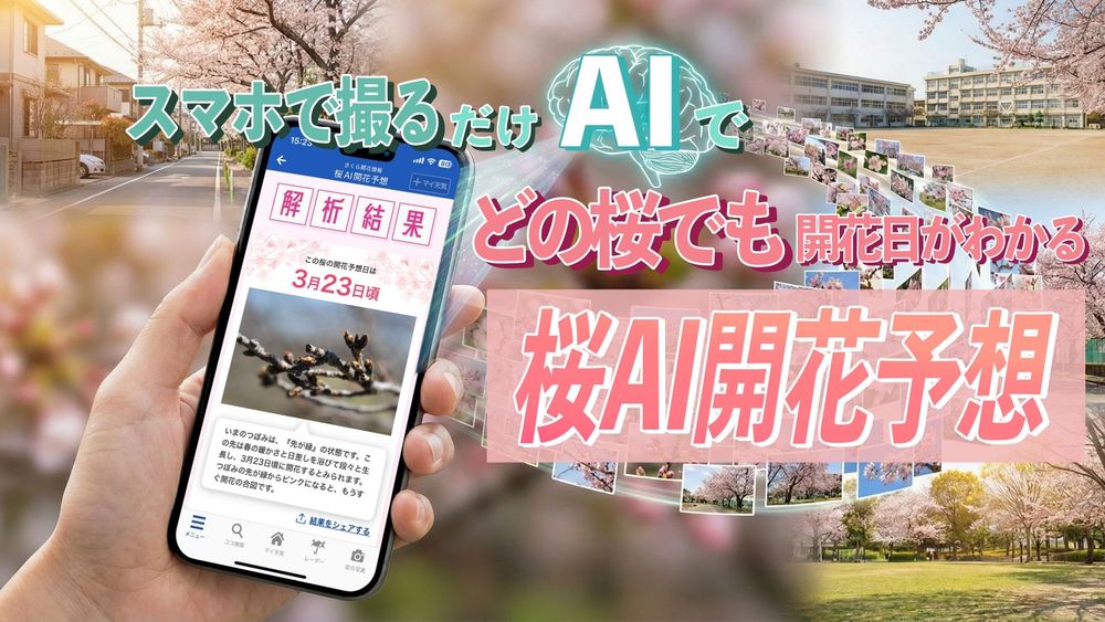この桜、いつ咲く?つぼみを撮るだけで開花日がわかる「桜AI開花予想」開発の裏側
