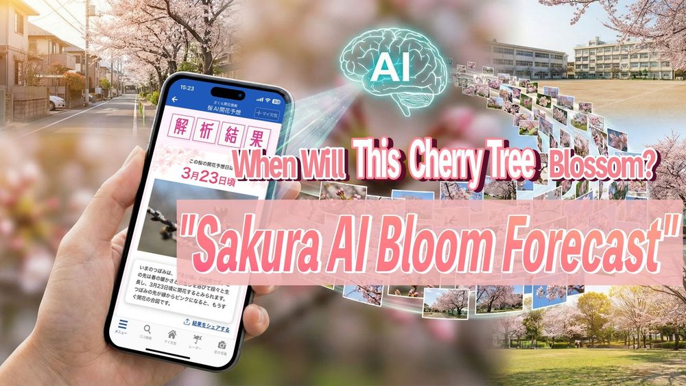 When Will This Cherry Tree Blossom? Inside the Development of "Sakura AI Bloom Forecast" – Predicting Bloom Dates from a Single Photo