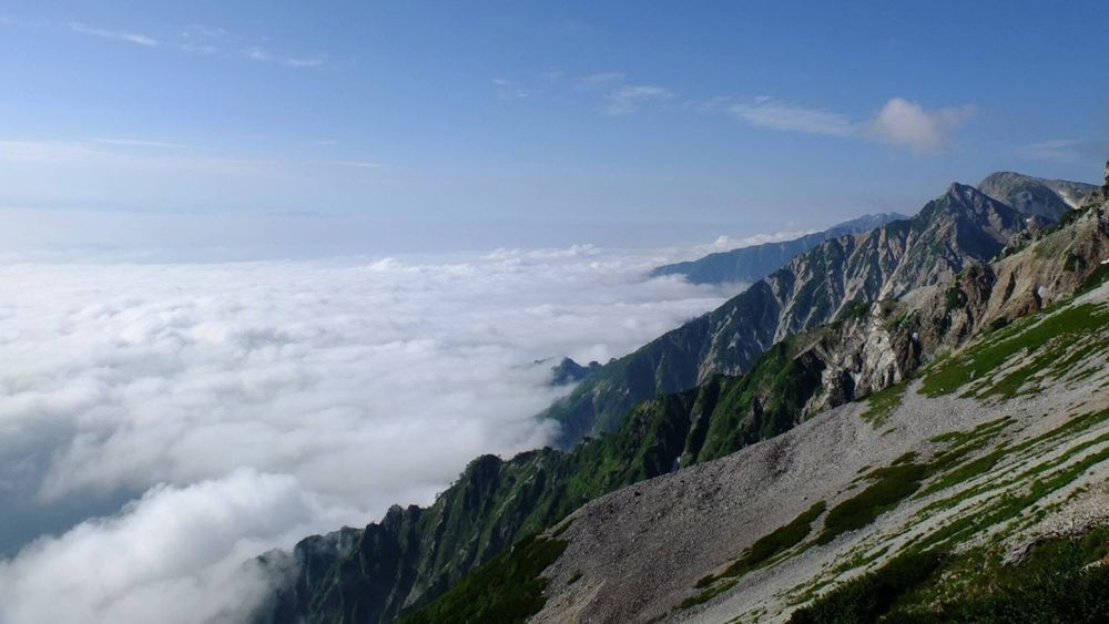 Mountain Weather Forecasts from the Experts: Cutting Temperature Prediction Errors on Mt. Fuji by About 50%
