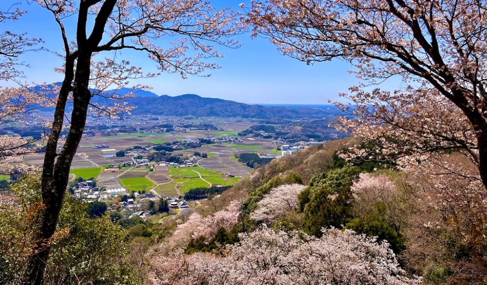 ここに写真の説明(代替テキスト)を入力