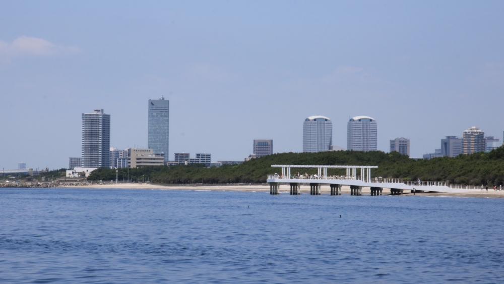 Fig2_chiba.JPG