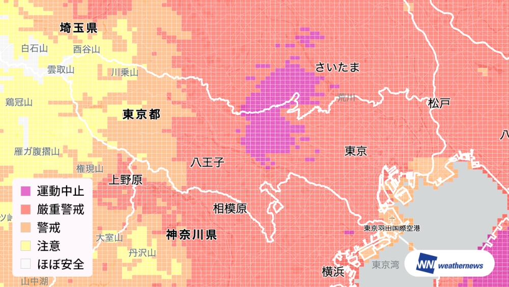 ここに写真の説明(代替テキスト)を入力