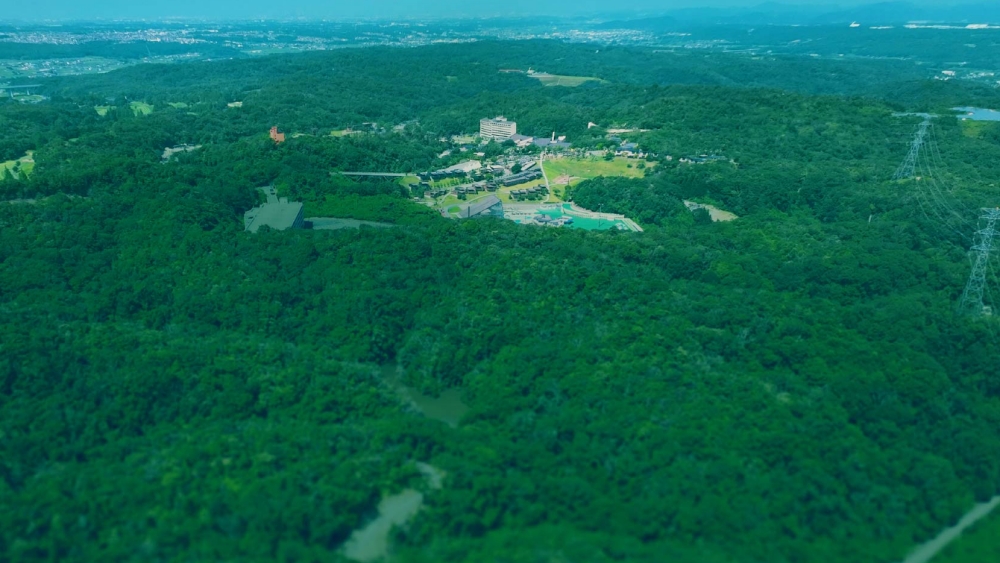 ここに写真の説明(代替テキスト)を入力