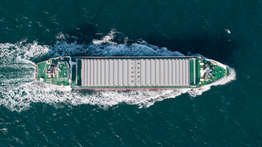 ここに写真の説明(代替テキスト)を入力