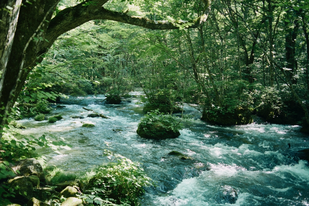 ここに写真の説明(代替テキスト)を入力