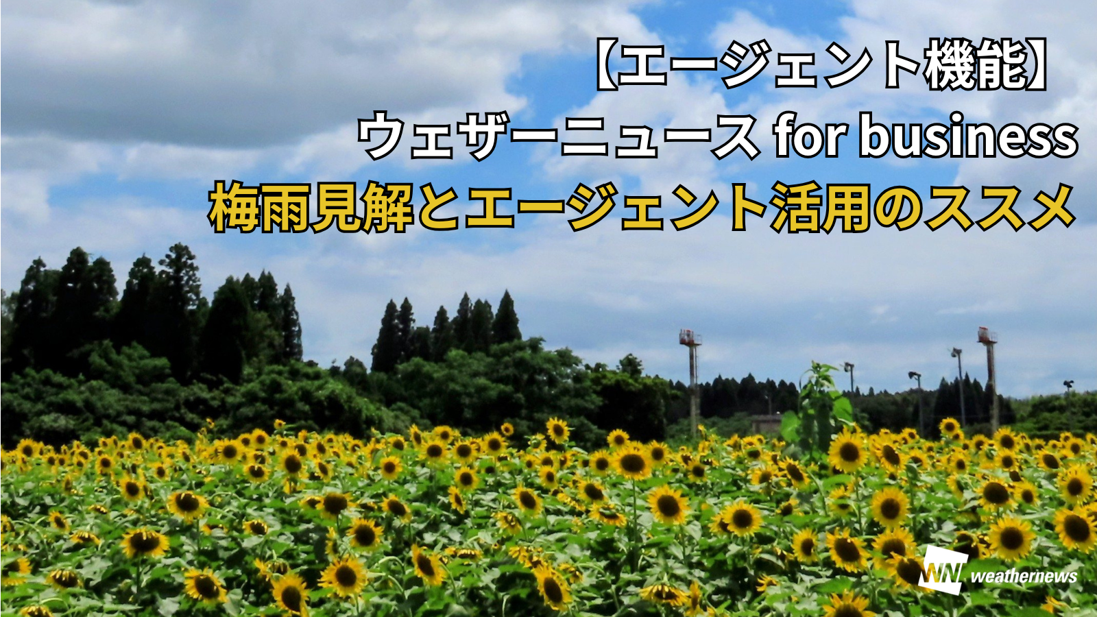 梅雨明けもエージェント機能にお任せ