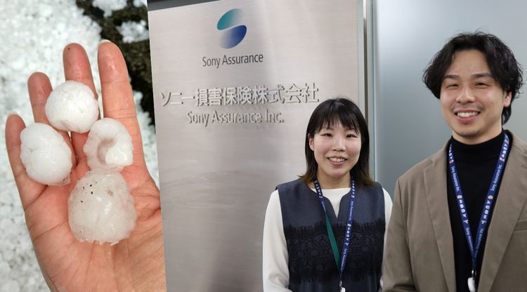 ソニー損害保険株式会社