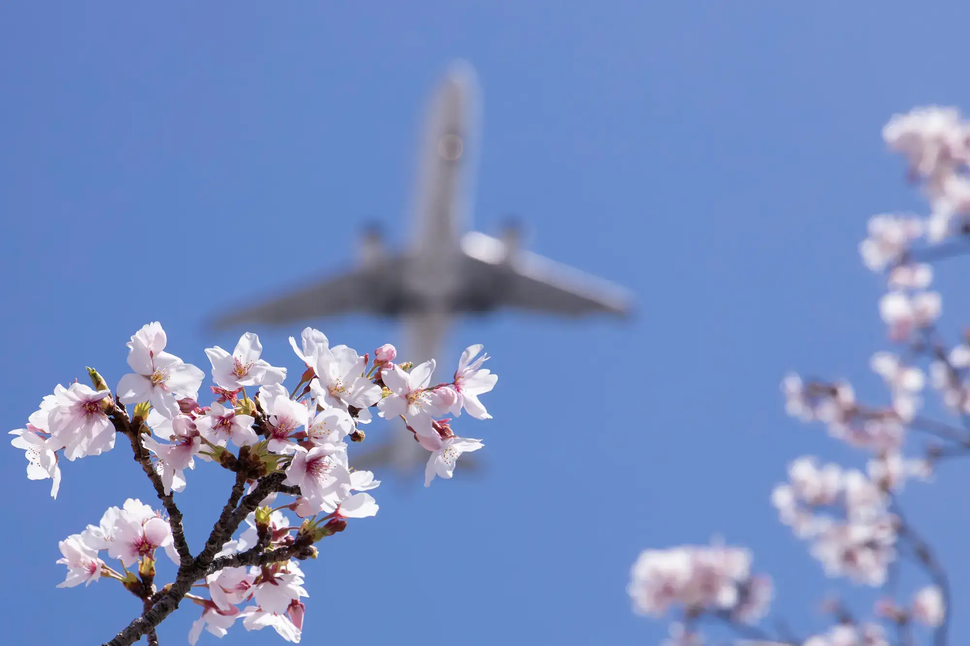 /img/weather/sky/20260217/image_kv.webp